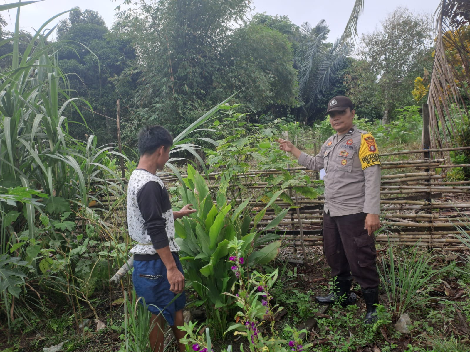 Mendukung Ketahanan Pangan, Personil Polsek Katingan Hulu dan Bukit Raya Cek Lokasi Pemanfaatan Pekarangan Warga.