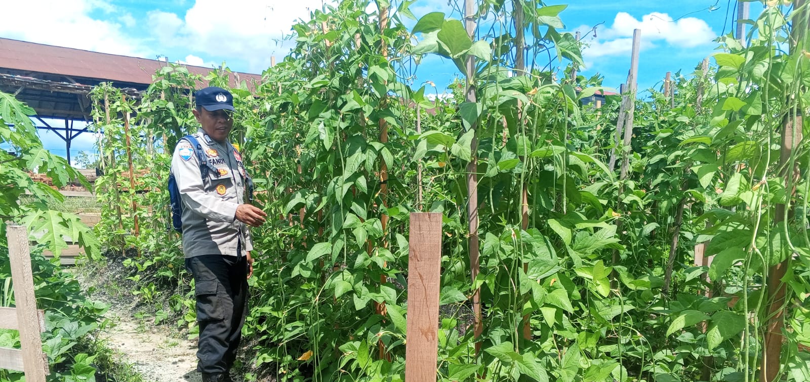 Personil Polsek Sanaman Mantikei Cek Lokasi Pemanfaatan Pekarangan Warga.