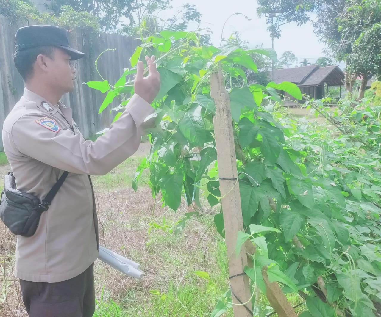 Mendukung Ketahanan Pangan, Personil Polsek sanaman mantikei Cek Lokasi Pemanfaatan Pekarangan Warga.