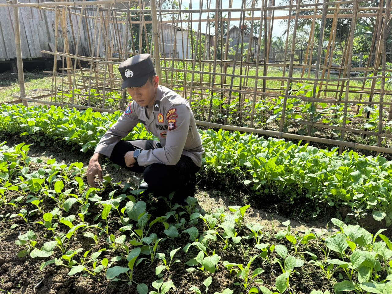 Dukung Program Ketahanan Pangan, Satbinmas Polres Lamandau Silaturahmi ke masyarakat terkait Program Asta Cita Presiden RI