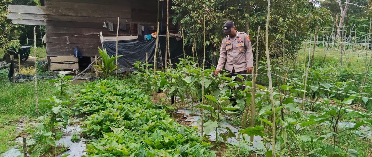 Mendukung Ketahanan Pangan, Personil Polsek sanaman mantikei Cek Lokasi Pemanfaatan Pekarangan Warga.