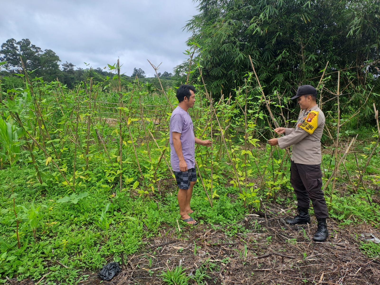 Mendukung Ketahanan Pangan, Personil Polsek Katingan Hulu dan Bukit Raya Cek Lokasi Pemanfaatan Pekarangan Warga.