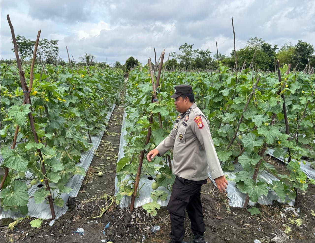 Polsek Tewang Sangalang Garing dan Pulau Malan Imbau Warga Manfaatkan Lahan Untuk Ketahanan Pangan