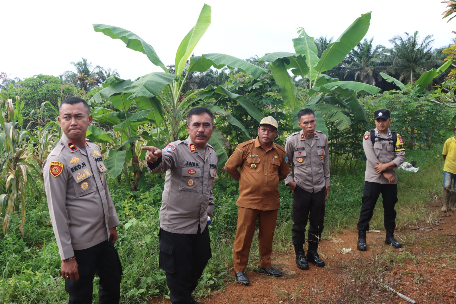 Waka Polres Lamandau Laksanakan Pengecekan Tanaman Jagung Kuartal IV Tahun 2025 di Desa Tri Tunggal