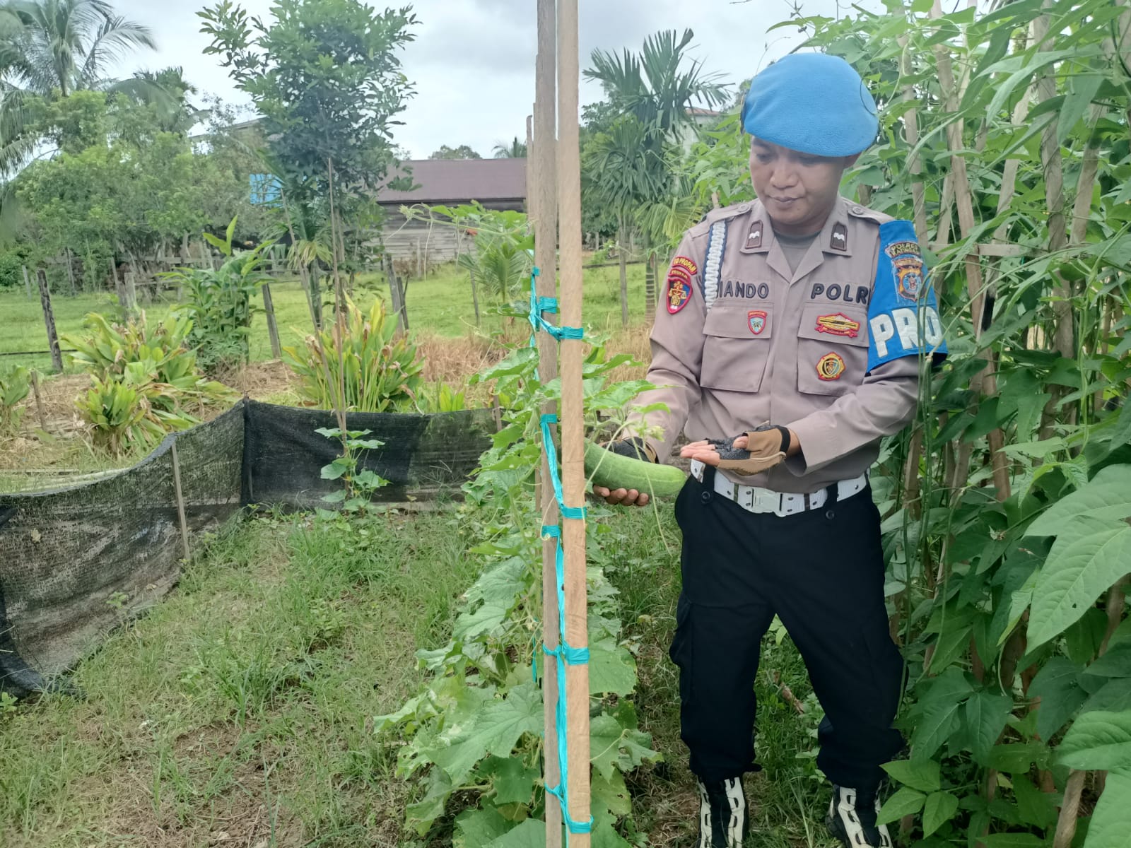 Personil Polsek Marikit Cek Lokasi Pemanfaatan Pekarangan Warga di Kec. Marikit, Kab. Katingan.