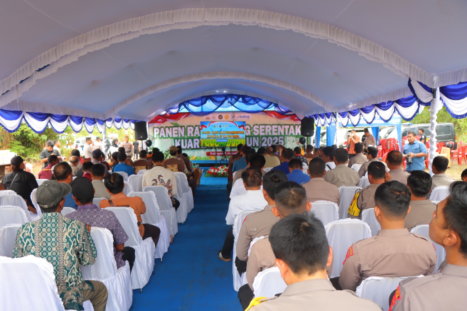 Panen Raya Jagung Serentak Kuartal IV Digelar di Katingan