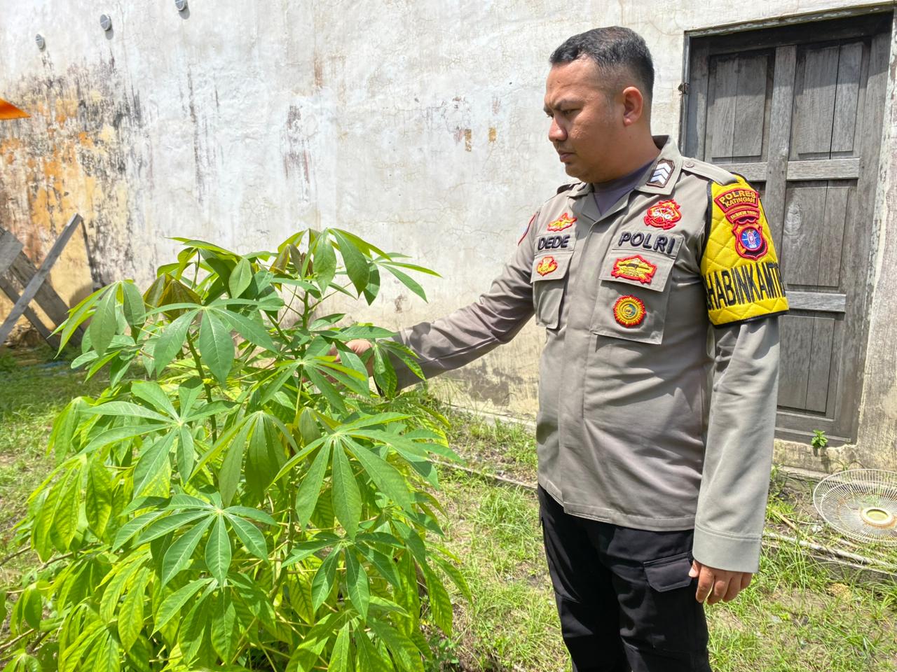 Bhabinkamtibmas Desa Jaya Makmur Cek Lokasi Pemanfaatan Lahan Pekarangan Warga