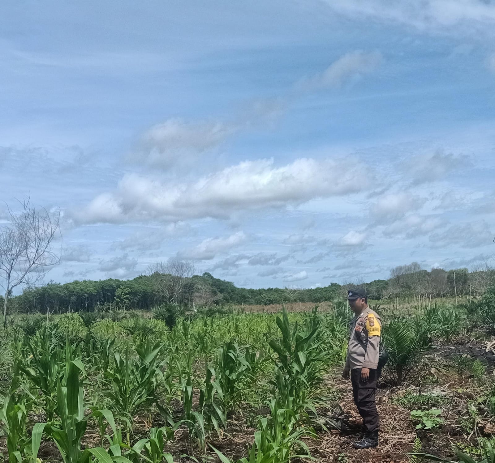 Dalam Rangka Mendukung Program Pemerintah, Bhabinkamtibmas Desa Perigi Polsek Mendawai Cek Lokasi Pemanfaatan Lahan Pekarangan Warga