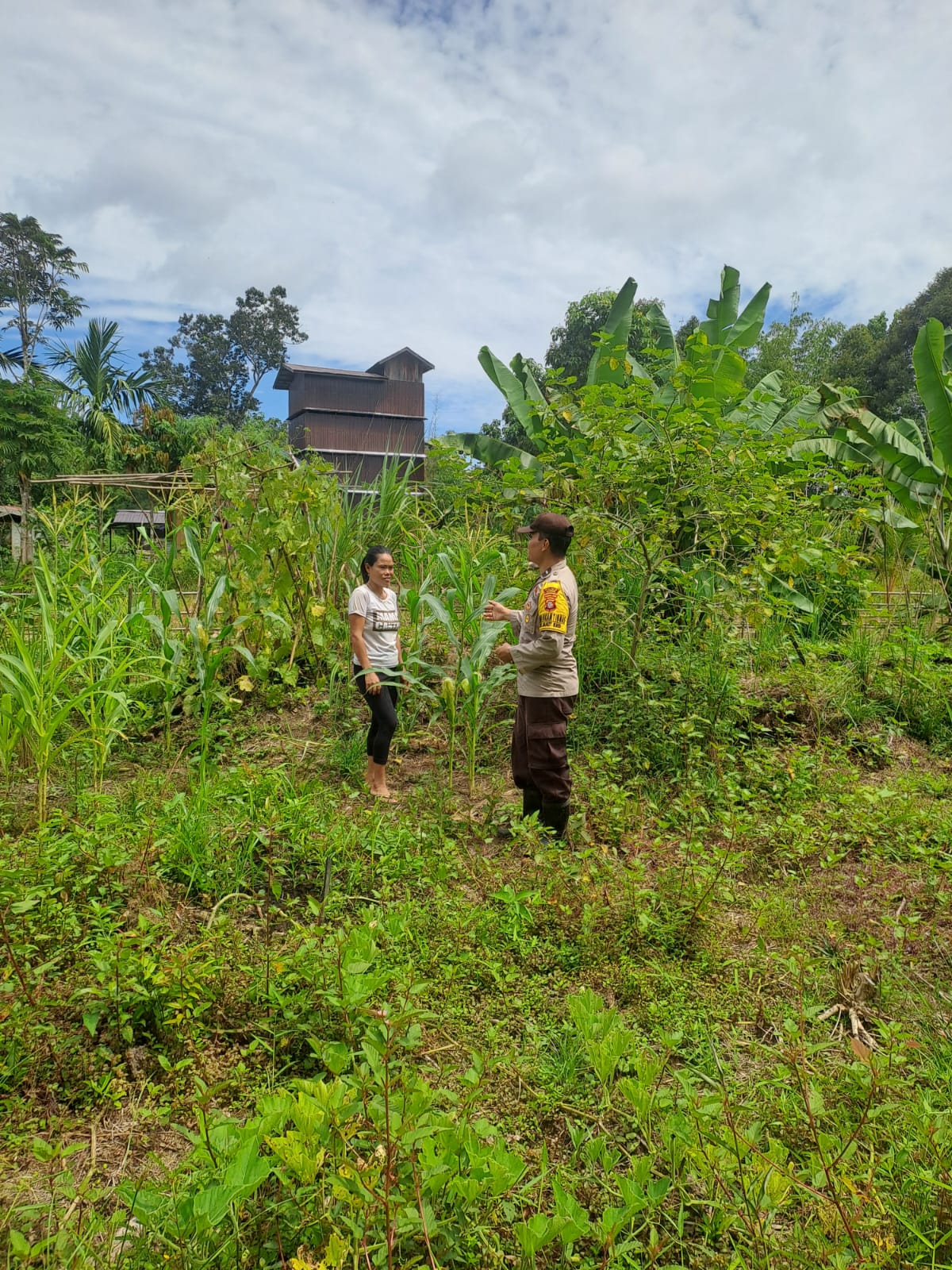 Mendukung Ketahanan Pangan, Personil Polsek Katingan Hulu dan Bukit Raya Cek Lokasi Pemanfaatan Pekarangan Warga.
