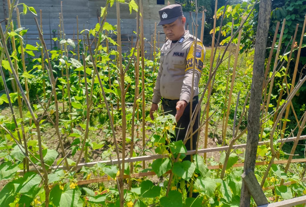 Polsek Marikit melaksanakan kegiatan pengecekan pemanfaatan lahan dalam program Ketahanan Pangan bentuk Dukungan terhadap Kebijakan Presiden RI tentang Asta Cita Ketahanan Pangan