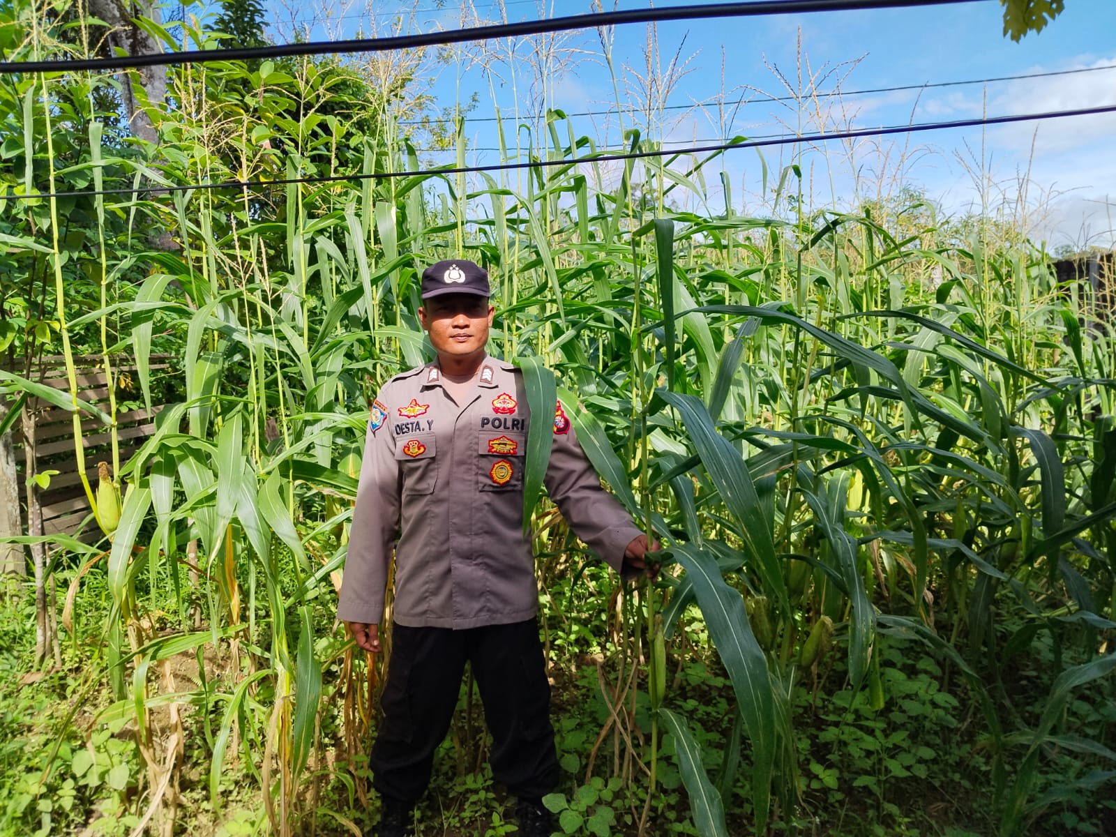 Mendukung Ketahanan Pangan, Personil Polsek sanaman mantikei Cek Lokasi Pemanfaatan Pekarangan Warga.