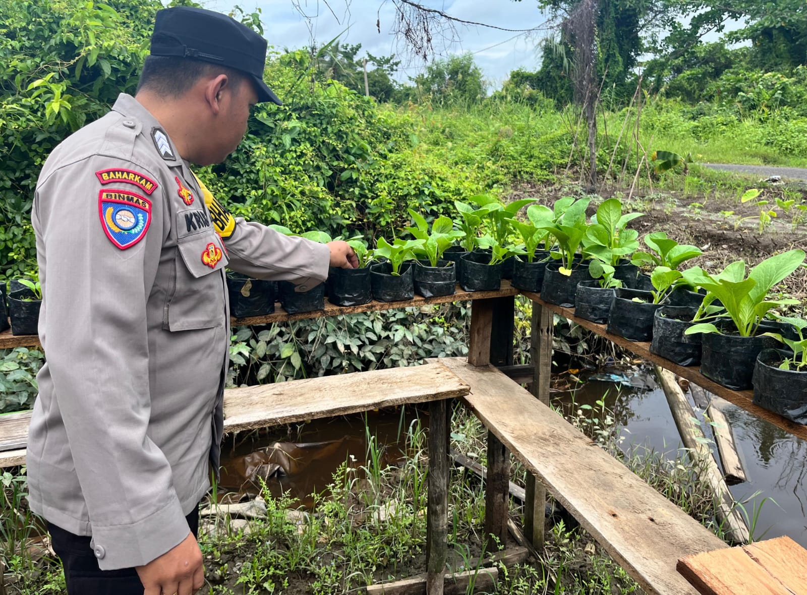 Bhabin Kamtibmas Rutin Melakukan Pengecekan Lokasi Pemanfaatan Lahan Pekarangan Warga