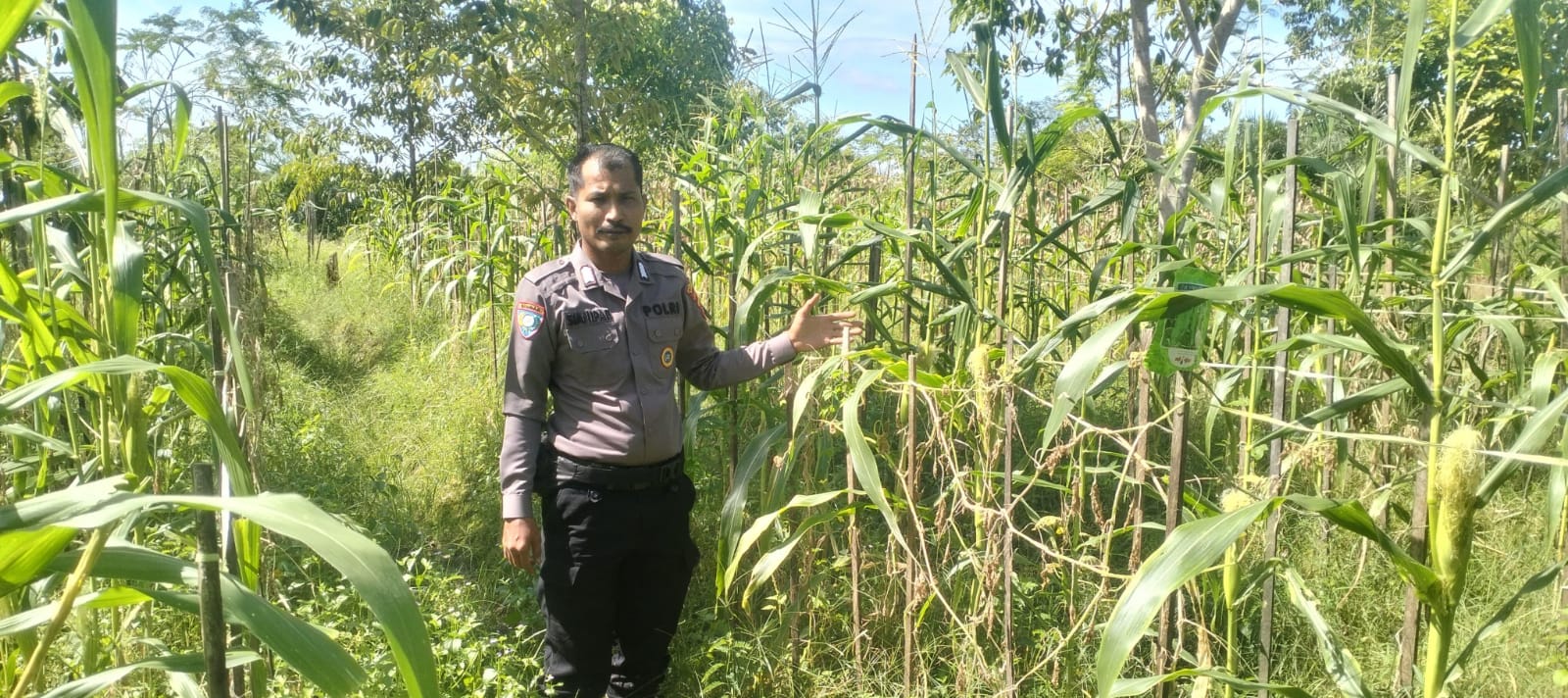 Mendukung Ketahanan Pangan, Personil Polsek sanaman mantikei Cek Lokasi Pemanfaatan Pekarangan Warga.