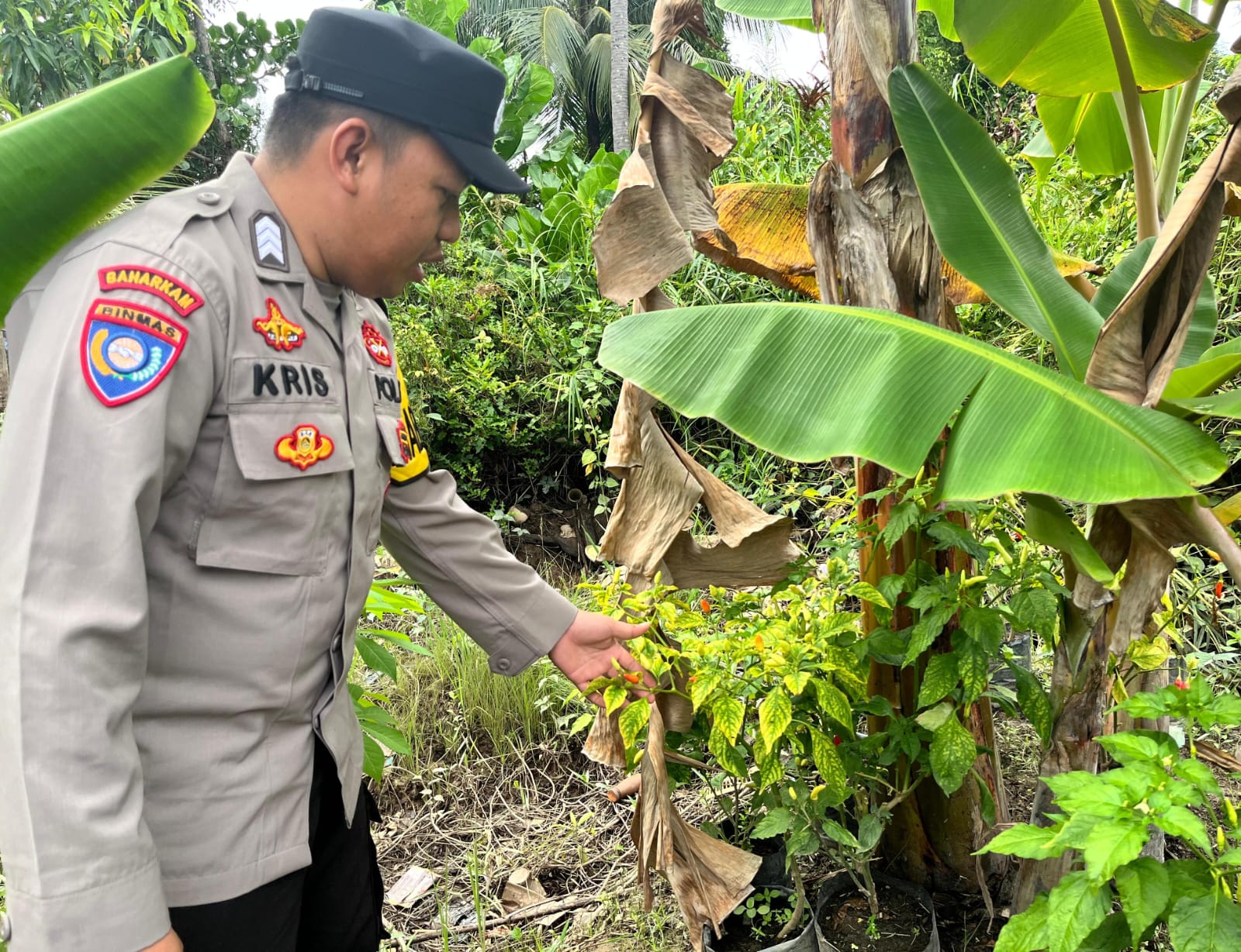 Bhabinkamtibmas Rutin Melakukan Pengecekan Lokasi Pemanfaatan Lahan Pekarangan Warga Pegatan Hilir