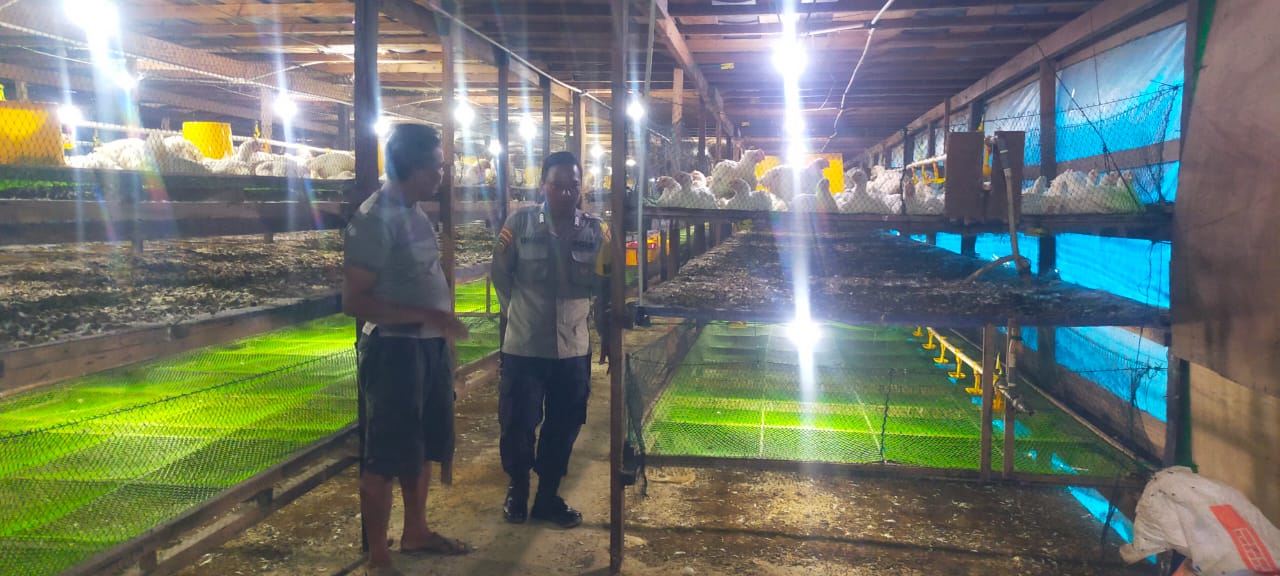 Perkuat Ketahanan Pangan, Bhabinkamtibmas Sambang Peternak Ayam di Wilayah Binaan