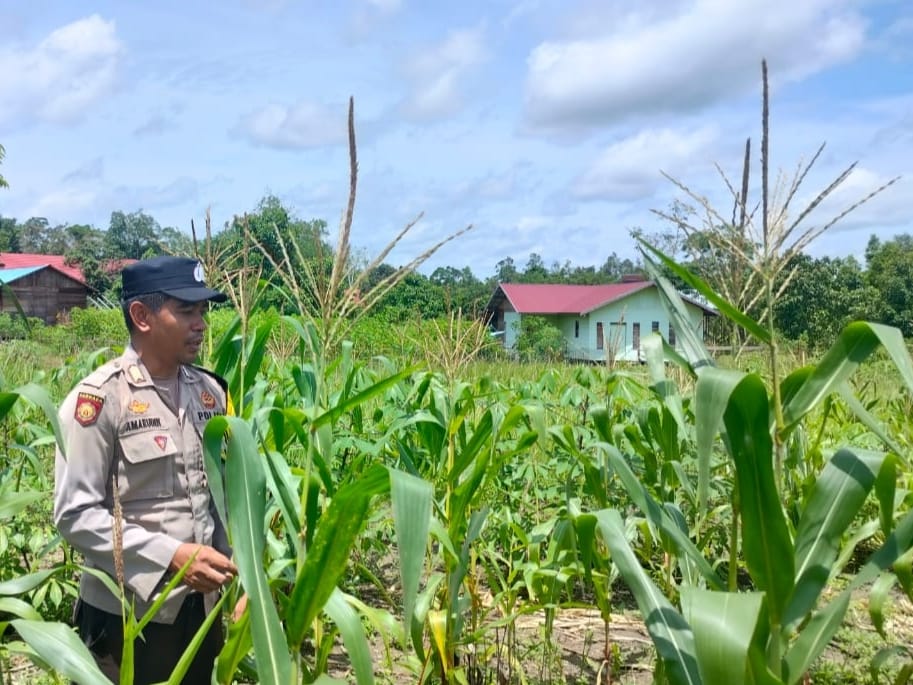 Pererat Silahturahmi Bhabinkamtibmas Polsek Marikit  Sambang “Cooling System” Masyarakat diwilayah Kec. Marikit Kab. Katingan.