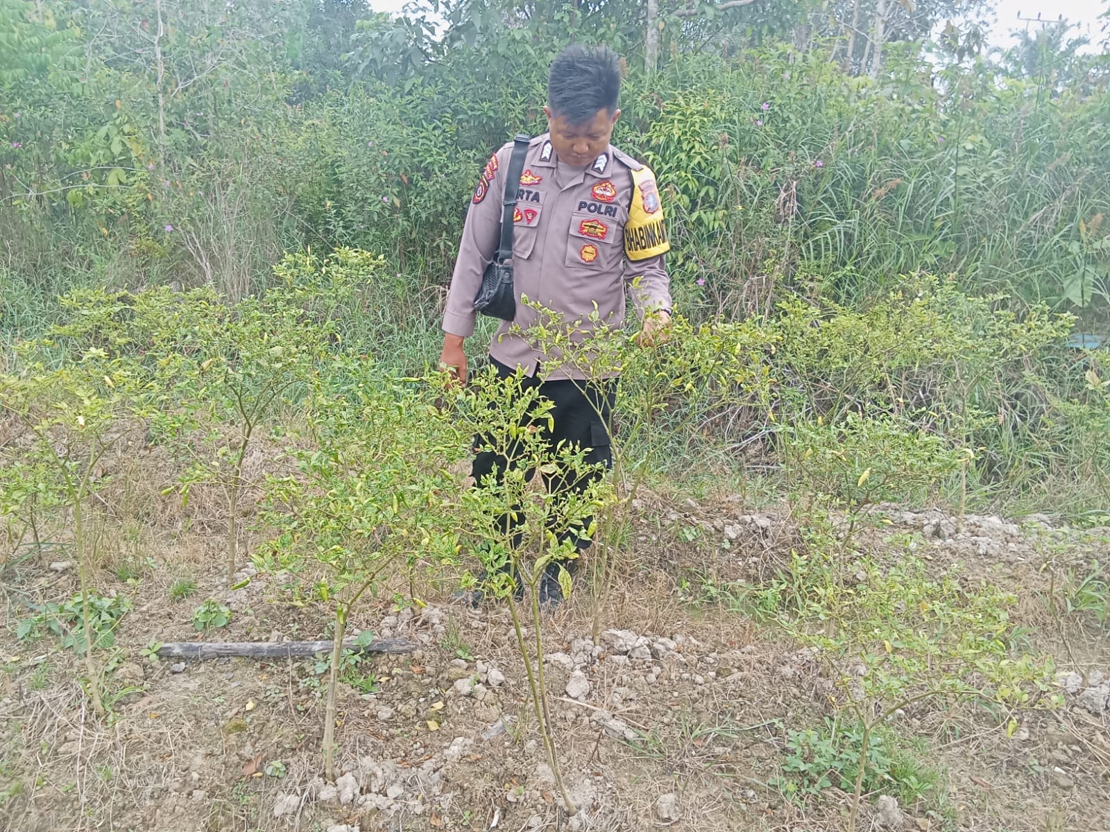 Dalam Rangka Mendukung Program Pemerintah, Bhabinkamtibmas Desa Mendawai Polsek Mendawai Cek Lokasi Pemanfaatan Lahan Pekarangan Warga