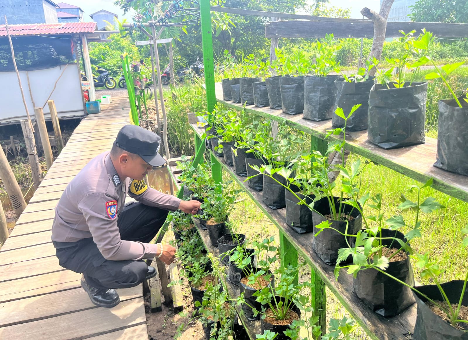 Bhabinkamtibmas Desa Kampung Tengah Sambangi Masyarakat Pemilik Pemanfaatan Lahan Pekarangan