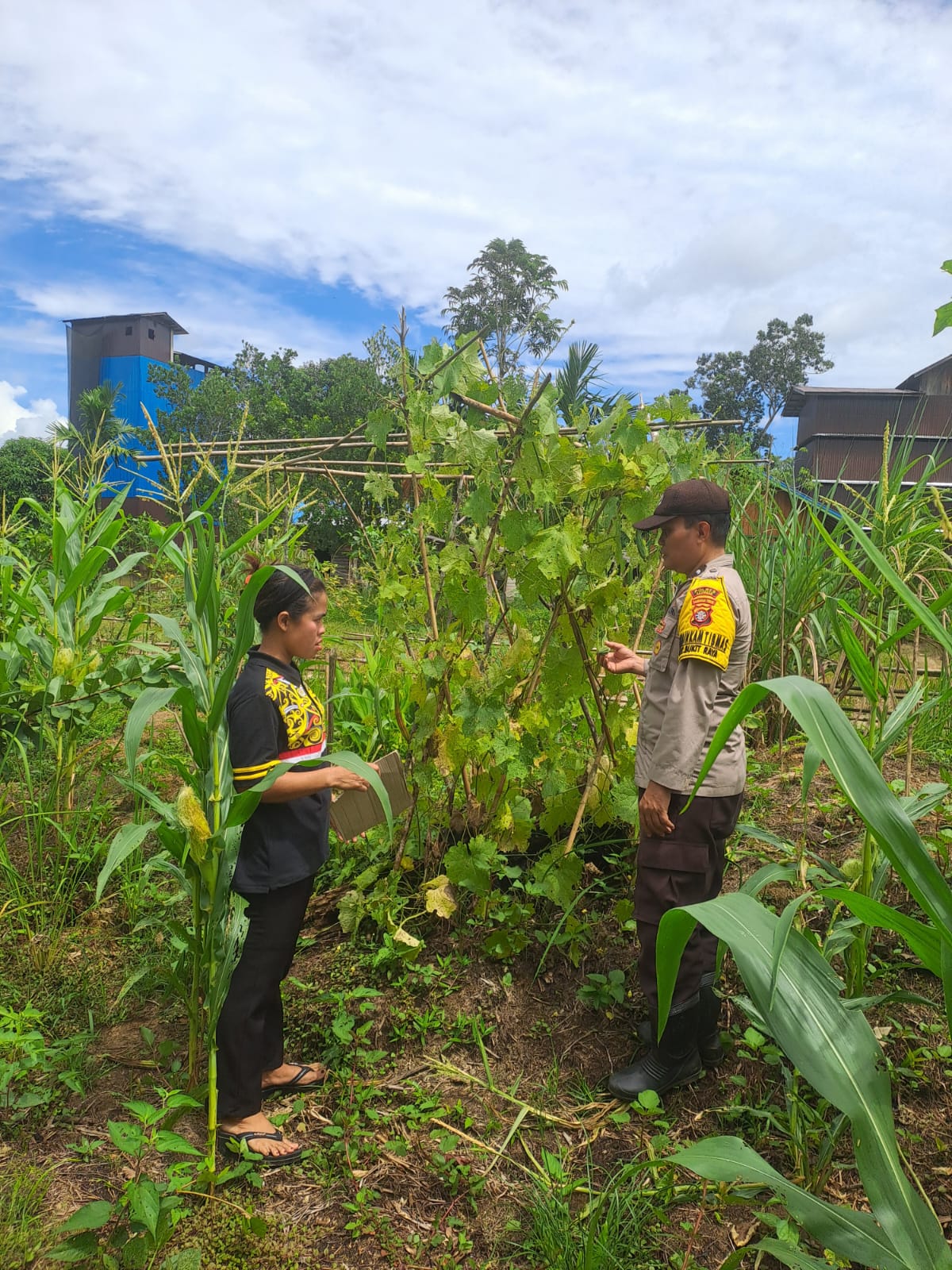 Mendukung Ketahanan Pangan, Personil Polsek Katingan Hulu dan Bukit Raya Cek Lokasi Pemanfaatan Pekarangan Warga.
