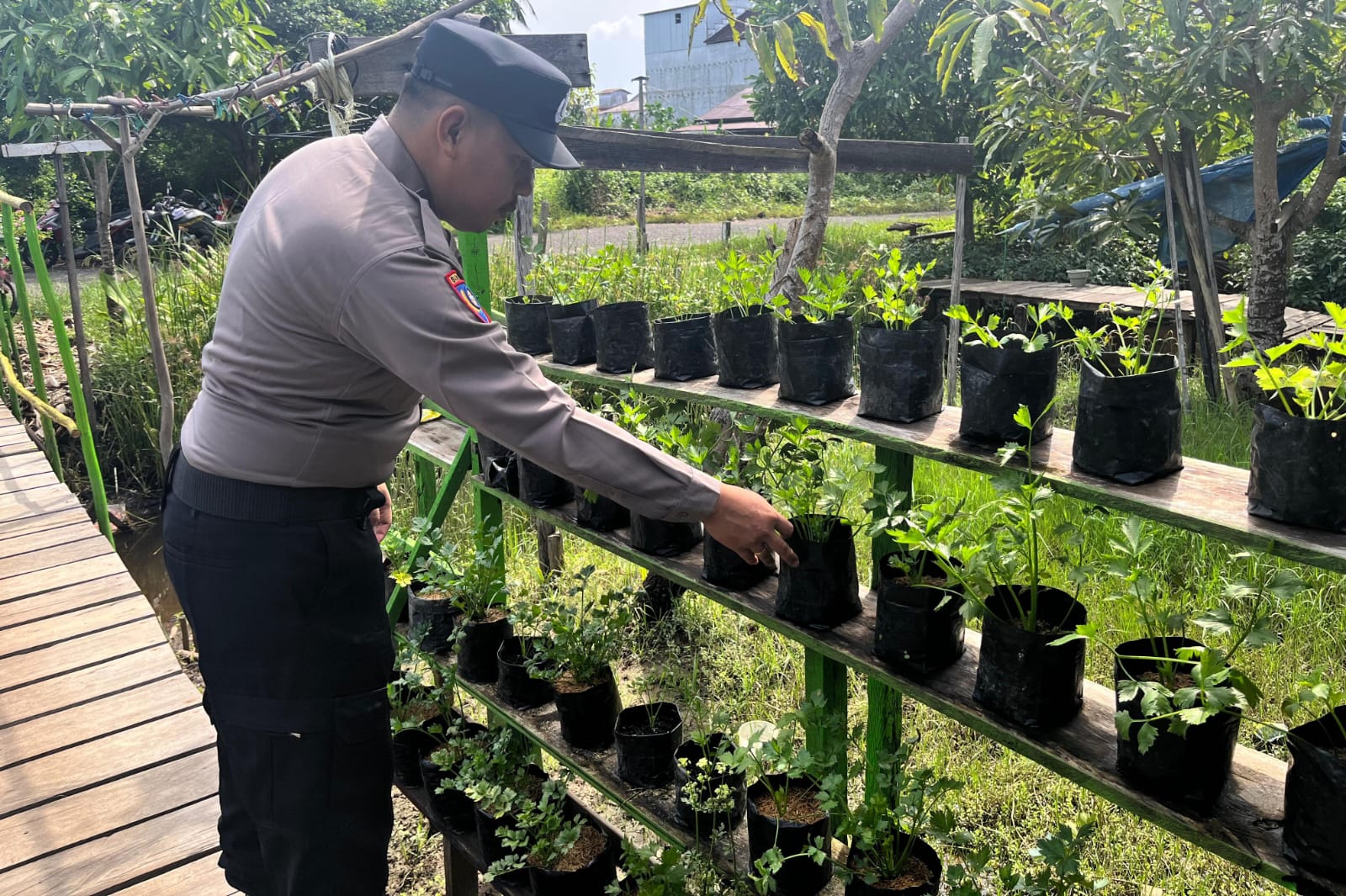 Cek Lokasi Pemanfaatan Lahan Pekarangan Warga Pegatan Hilir Oleh Bhabin Kamtibmas