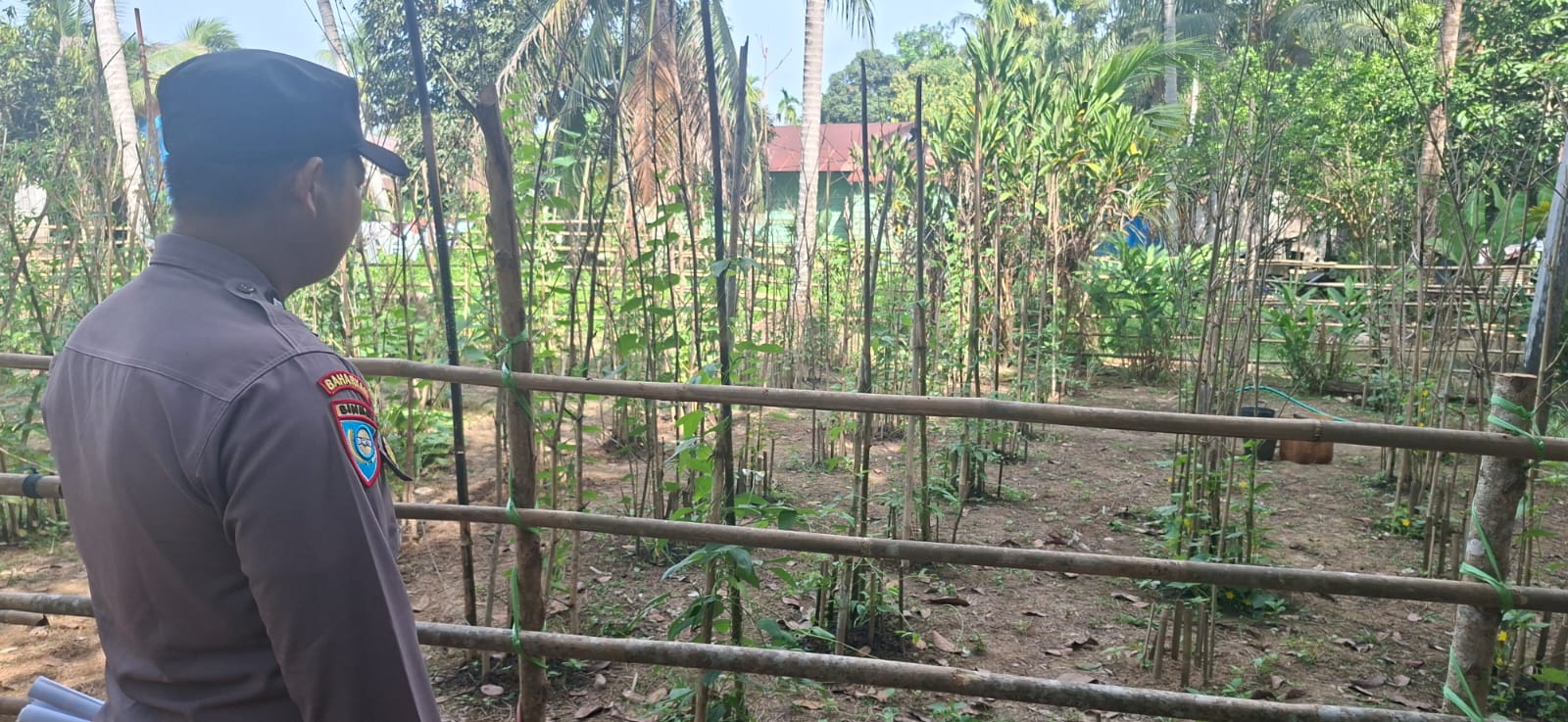 Polsek Marikit melaksanakan kegiatan pengecekan pemanfaatan lahan dalam program Ketahanan Pangan bentuk Dukungan terhadap Kebijakan Presiden RI tentang Asta Cita Ketahanan Pangan