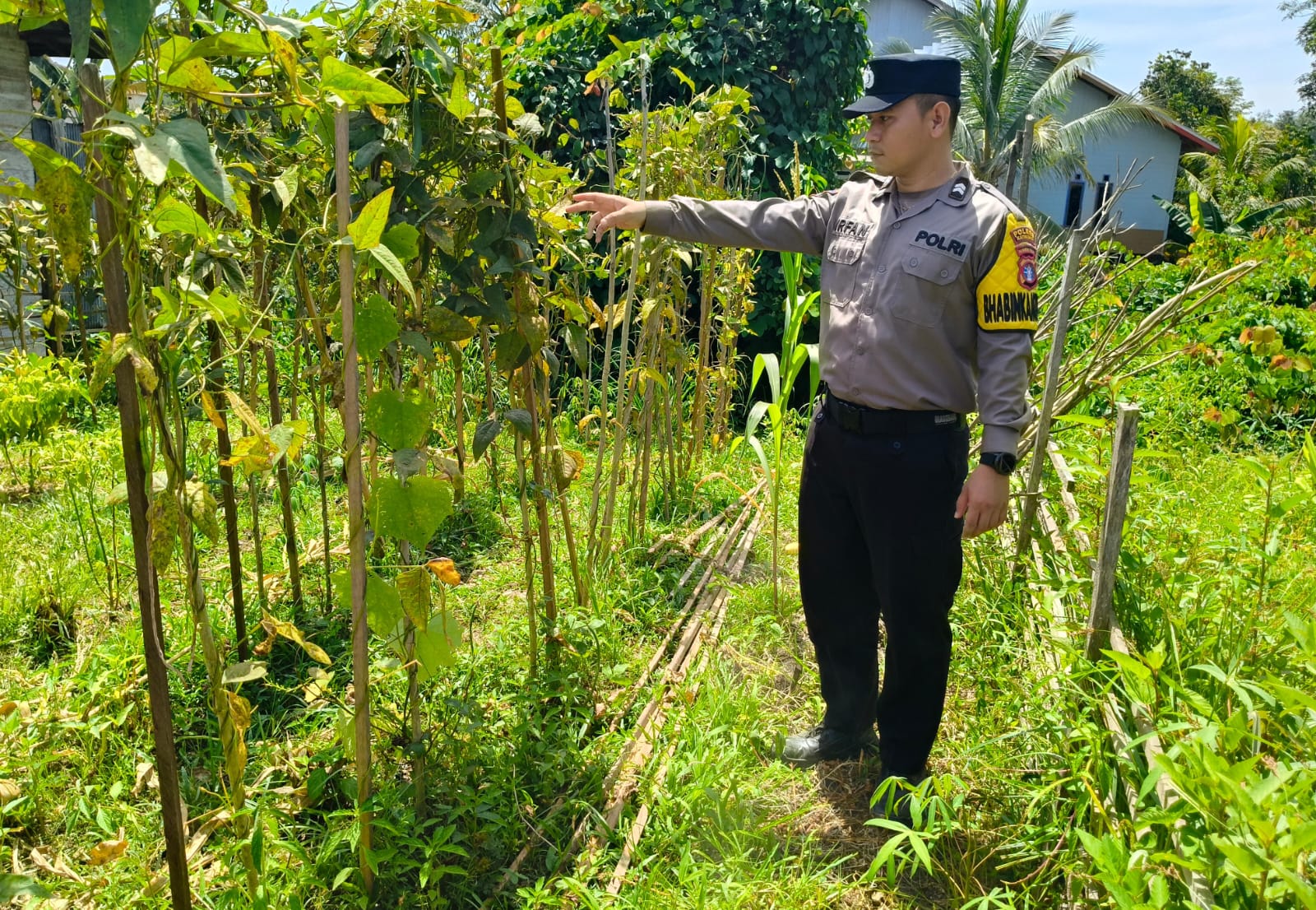Dukung Ketahanan Pangan, Piket Polsek Marikit Cek Lokasi Pemanfaatan Pekarangan.