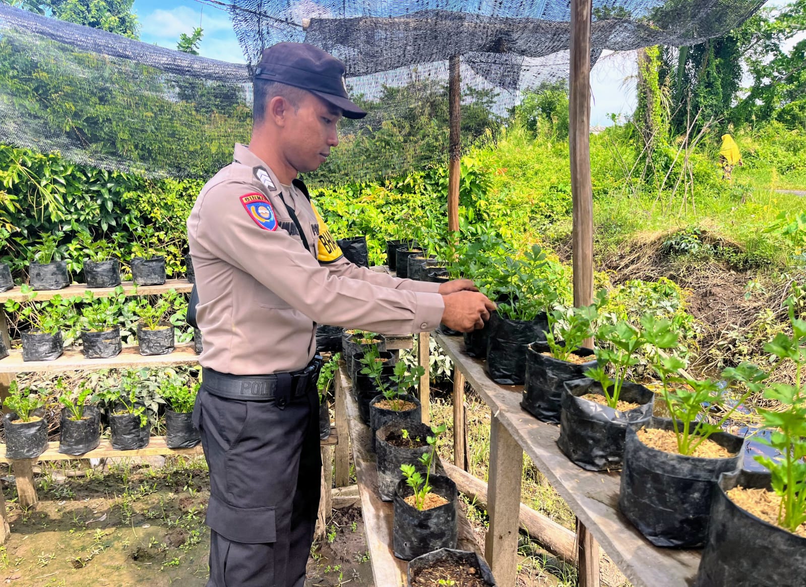 Bhabinkamtibmas Melakukan Pengecekan Lokasi Pemanfaatan Lahan Pekarangan Warga