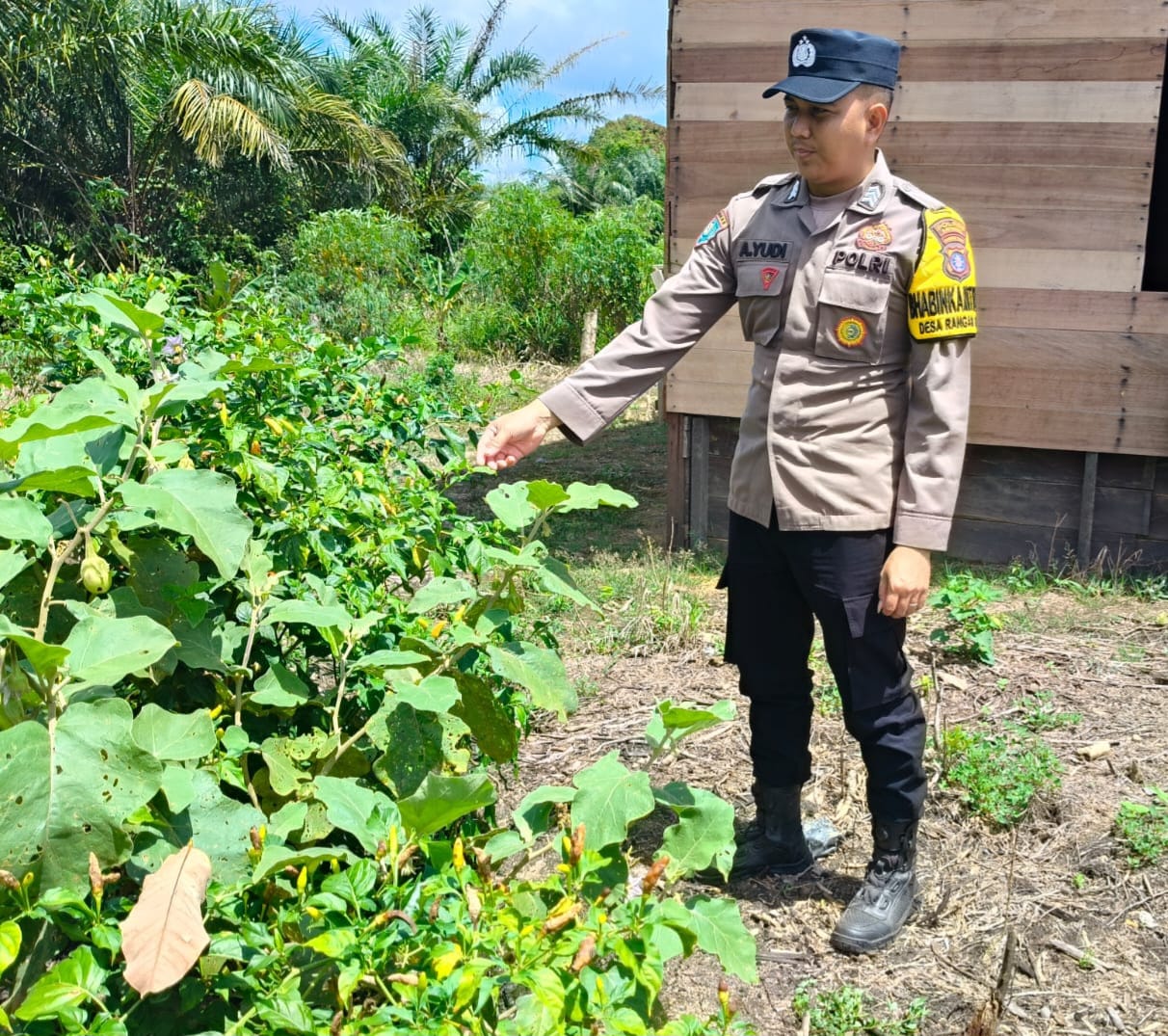Polsek Marikit melaksanakan kegiatan pengecekan pemanfaatan lahan dalam program Ketahanan Pangan bentuk Dukungan terhadap Kebijakan Presiden RI tentang Asta Cita Ketahanan Pangan