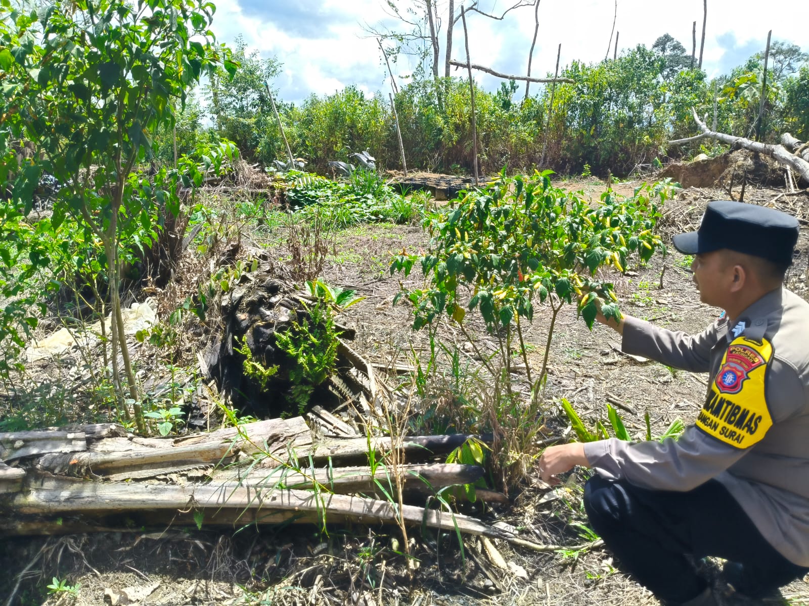 Polsek Marikit melaksanakan kegiatan pengecekan pemanfaatan lahan dalam program Ketahanan Pangan bentuk Dukungan terhadap Kebijakan Presiden RI tentang Asta Cita Ketahanan Pangan