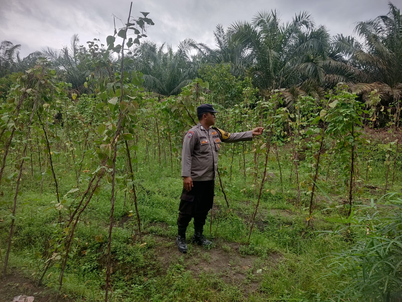 Personel Polsek Tewang Sangalang Garing dan Pulau Malan, Polres Katingan, Polda Kalteng, menyambangi lokasi pemanfaatan Lahan Pekarangan Warga