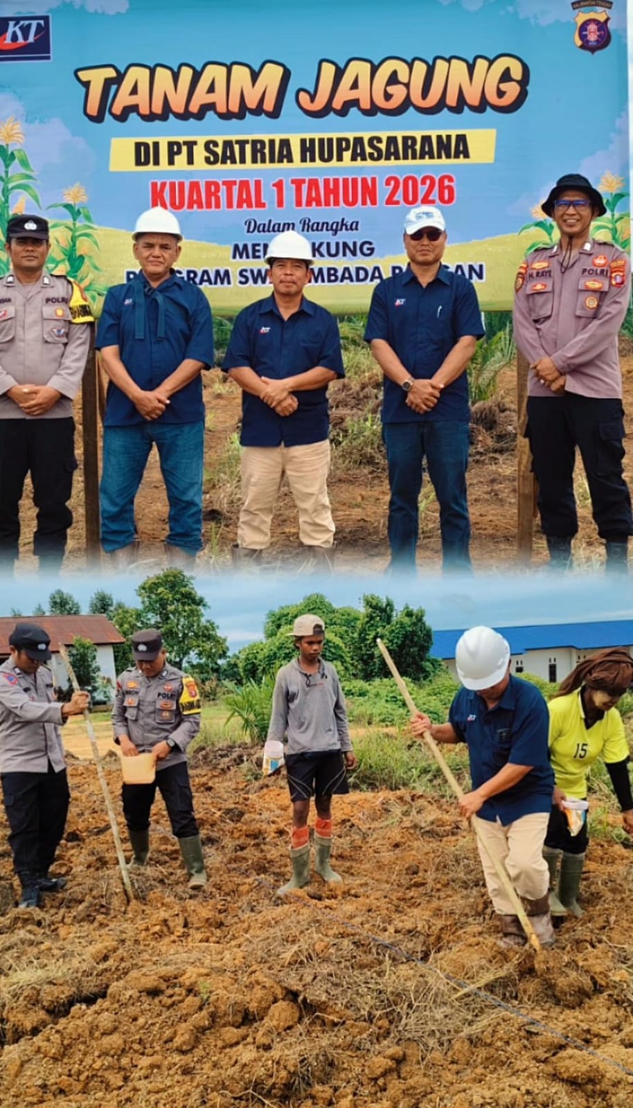 Polsubsektor Menthobi Raya Dukung Ketahanan Pangan Lewat Penanaman Jagung Hibrida