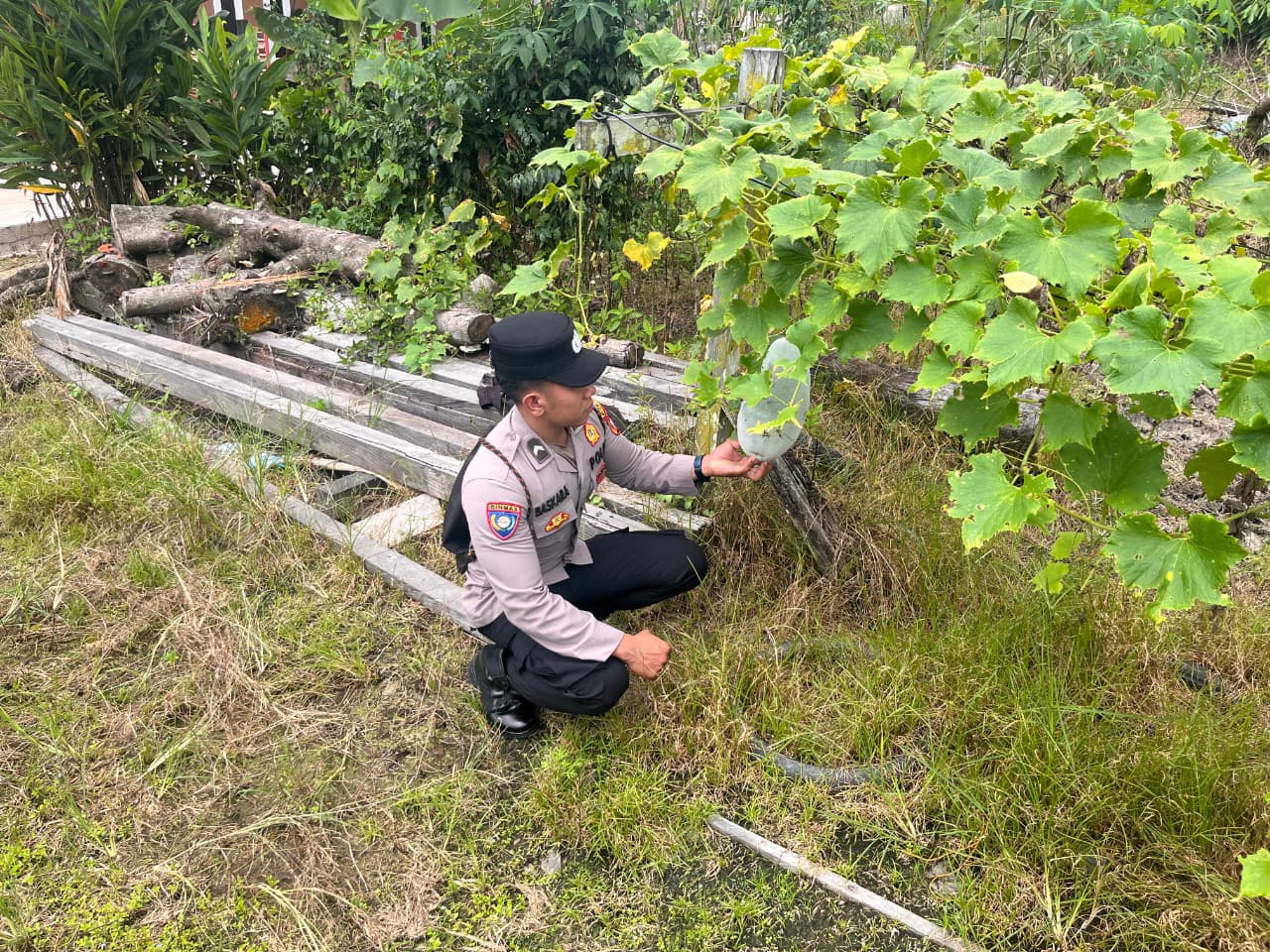 Bhabinkamtibmas Pererat Hubungan dengan Petani, Dukung Ketahanan Pangan dalam Asta Cita