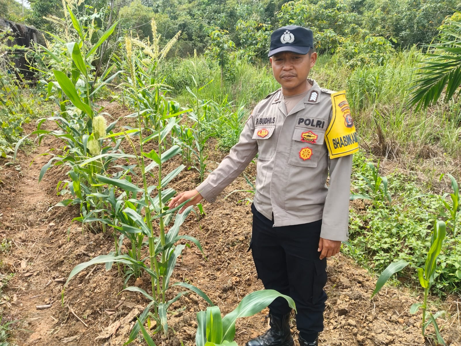 Mendukung Ketahanan Pangan, Personil Polsek sanaman mantikei Cek Lokasi Pemanfaatan Pekarangan Warga.