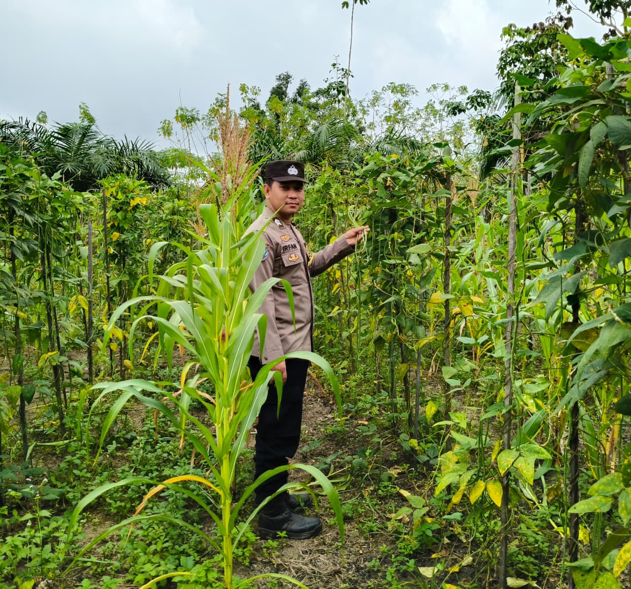 Mendukung Ketahanan Pangan, Personil Polsek Katingan Hulu Cek Lokasi Pemanfaatan Pekarangan Warga.