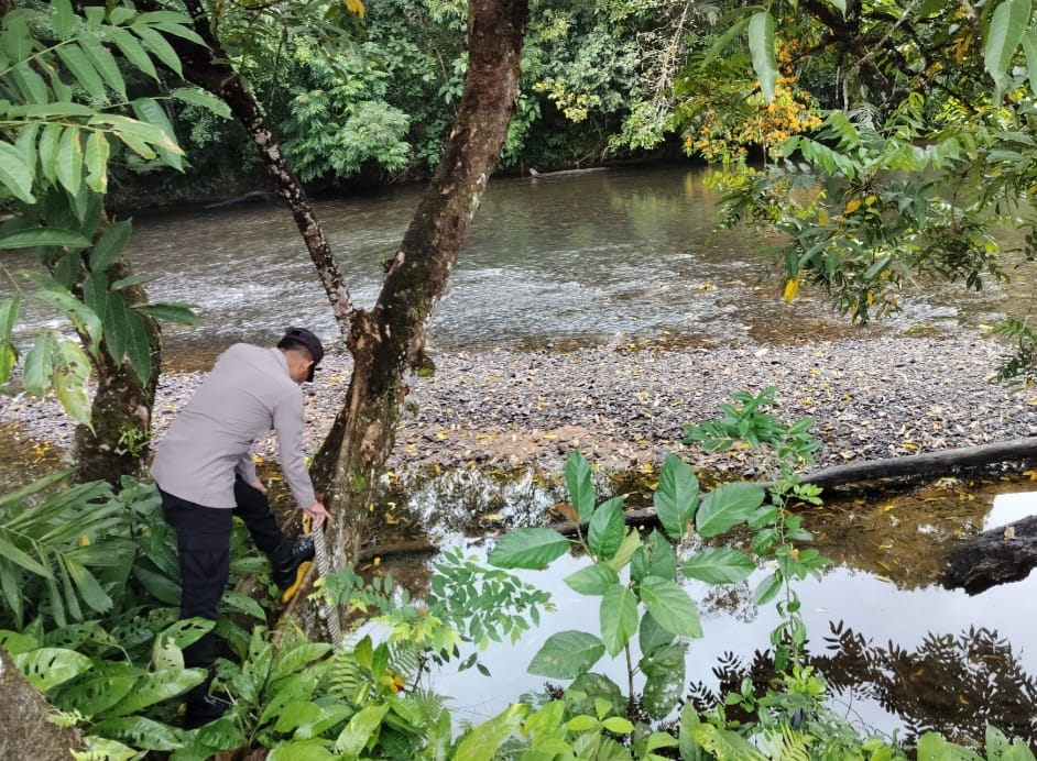 Piket Polsek Delang cek debit air DAS Delang