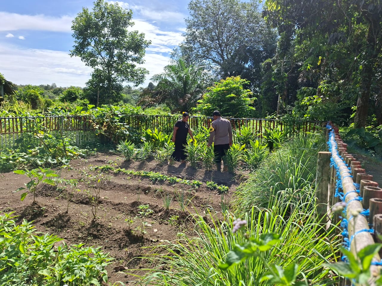 Bhabinkamtibmas Bersinergi dengan Warga Wujudkan Ketahanan Pangan Asta Cita