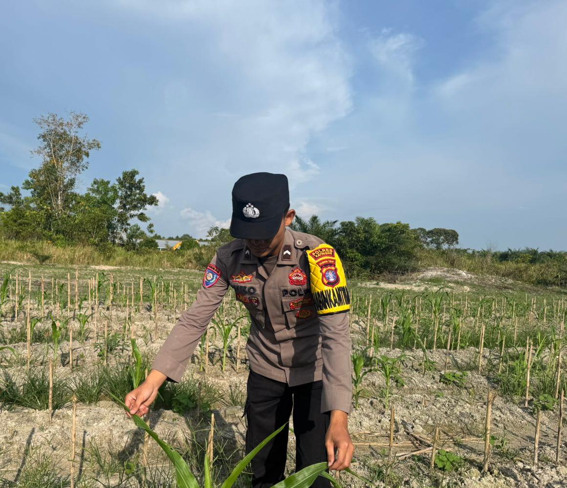 Polsek Tewang Sangalang Garing dan Pulau Malan imbau warga tingkatkan pemanfaatan lahan untuk ketahanan pangan