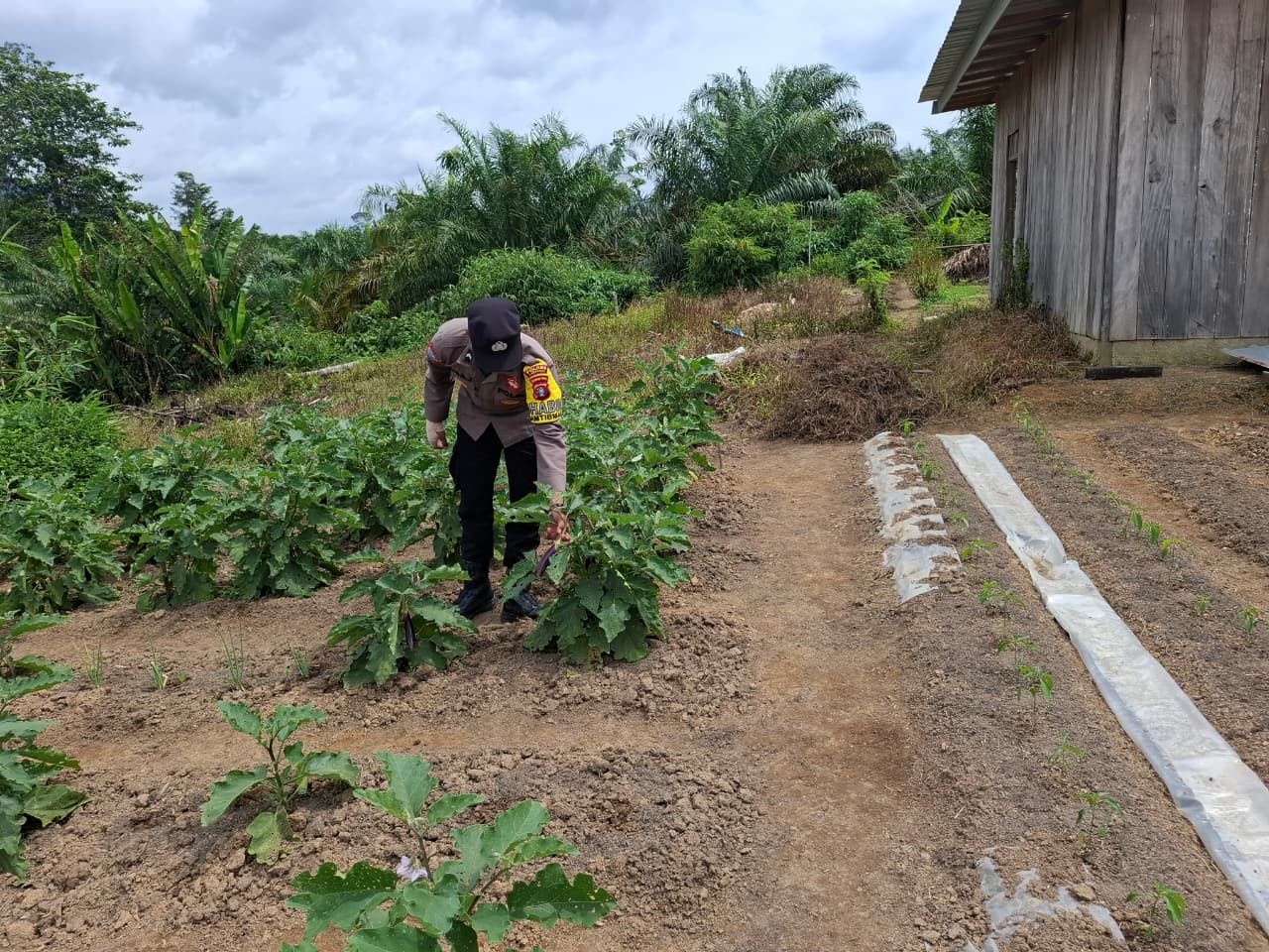 Bhabinkamtibmas Dorong Warga Optimalkan Pekarangan untuk Ketahanan Pangan