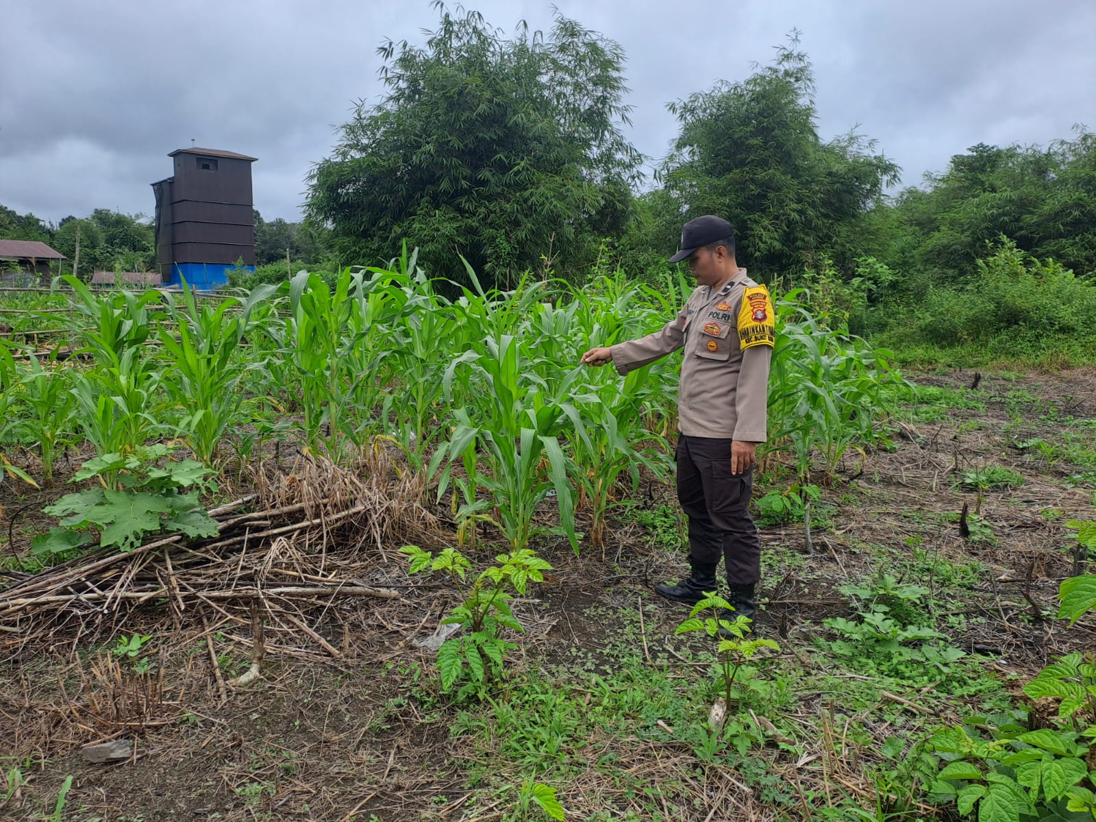 Mendukung Ketahanan Pangan, Personil Polsek Katingan Hulu dan Bukit Raya Cek Lokasi Pemanfaatan Pekarangan Warga.