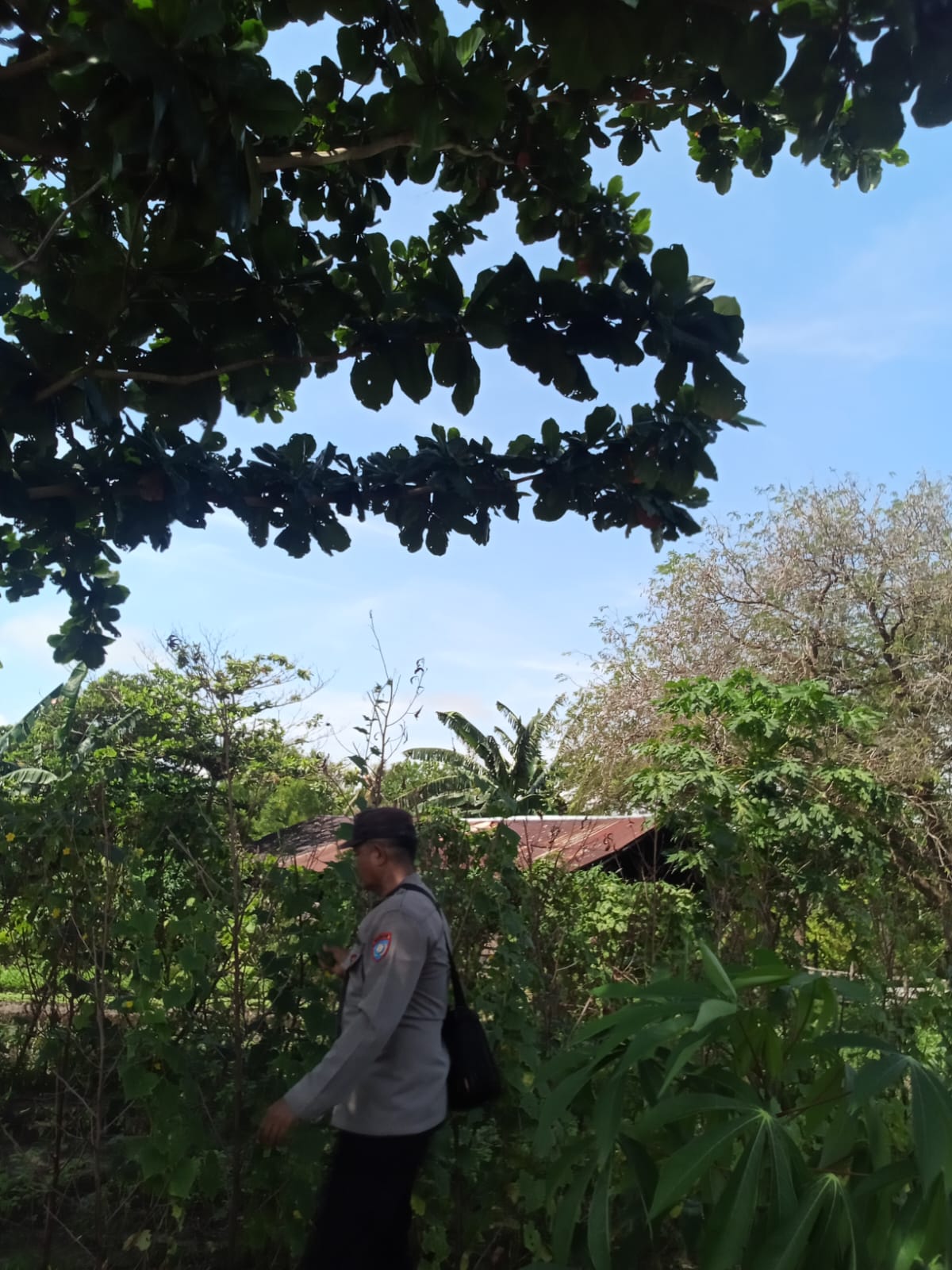 Mendukung ketahanan pangan, Personil Polsek Katingan Kuala cek lokasi pemanfaatan lahan warga berkebun holtikultura