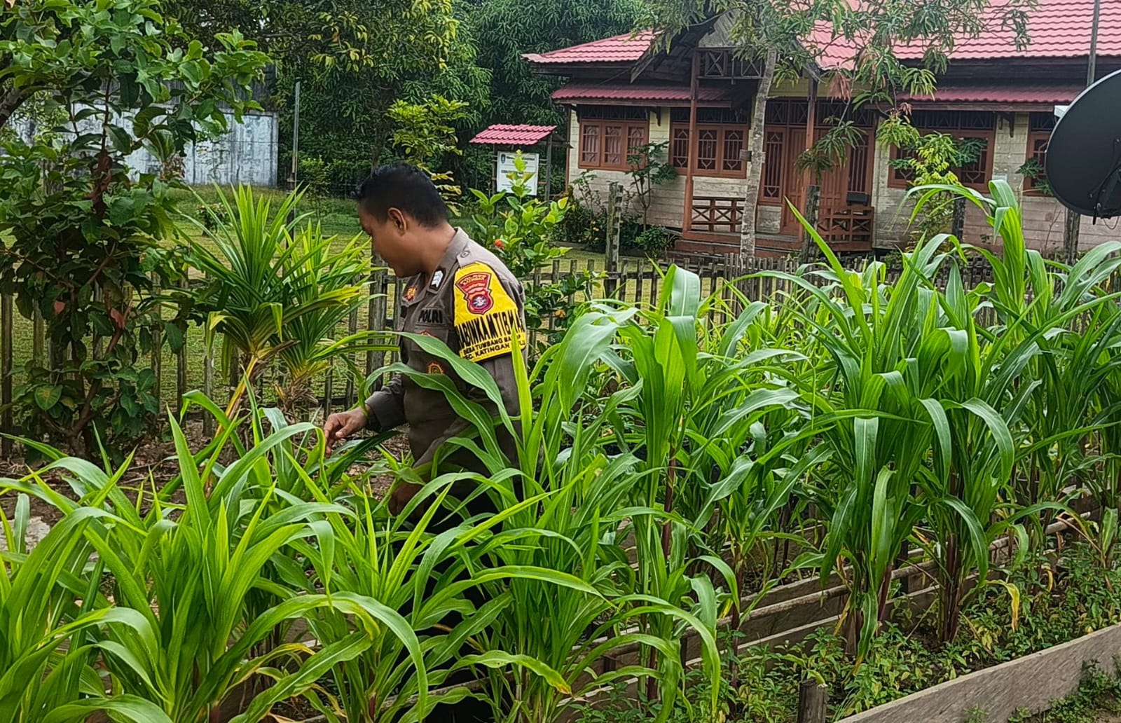 Mendukung Ketahanan Pangan, Personil Polsek Katingan Hulu Cek Lokasi Pemanfaatan Pekarangan Warga.