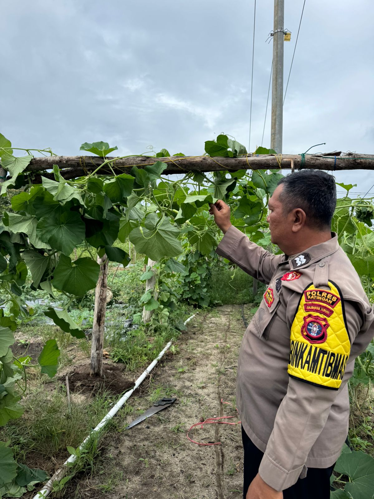 Polsek Tewang Sangalang Garing dan Pulau Malan Imbau Warga Tingkatkan Pemanfaatan Lahan Untuk Ketahanan Pangan