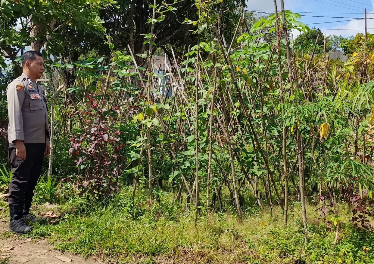 Mendukung Ketahanan Pangan, Personil Polsek sanaman mantikei Cek Lokasi Pemanfaatan Pekarangan Warga.