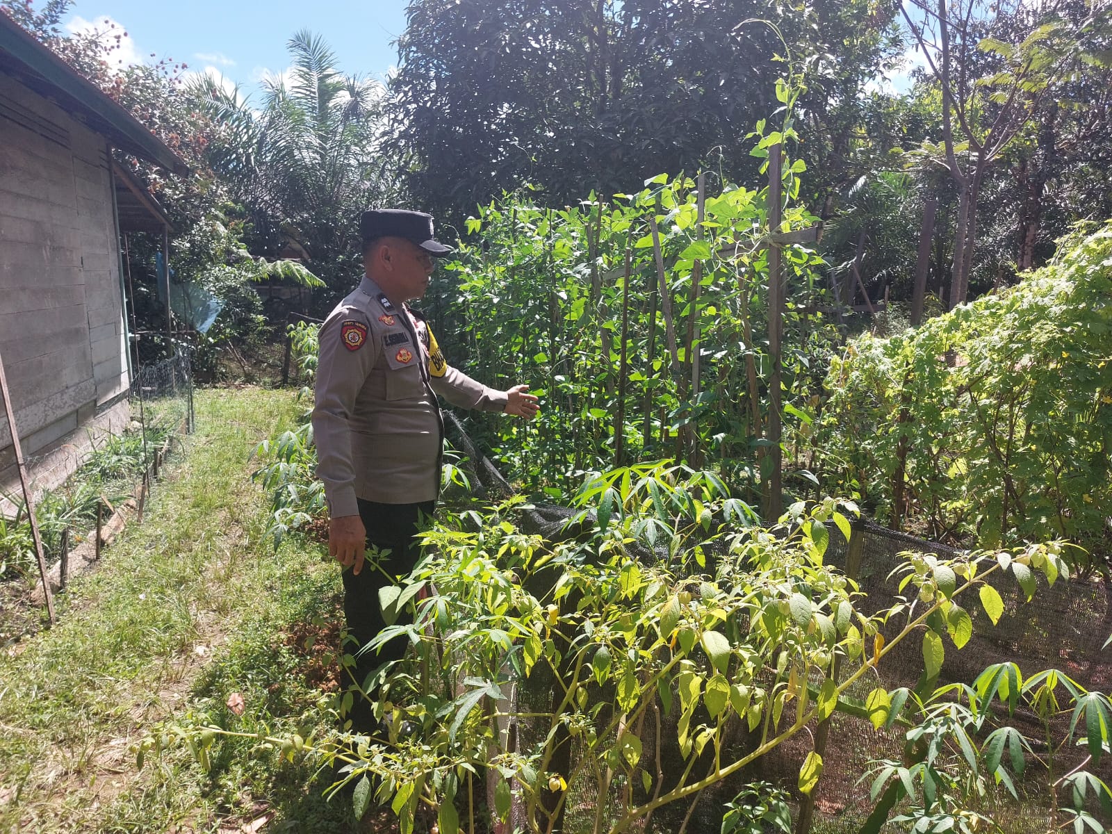 *DUKUNG KETAHANAN PANGAN NASIONAL, POLSEK MARIKIT DAMPINGI PETANI DI DESA RANGAN SURAI*