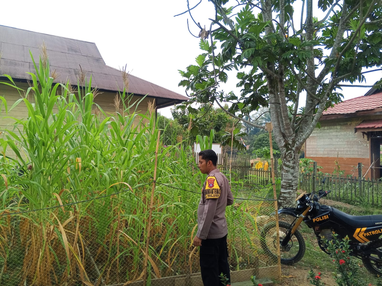 Mendukung Ketahanan Pangan, Personil Polsek Katingan Hulu Cek Lokasi Pemanfaatan Pekarangan Warga.