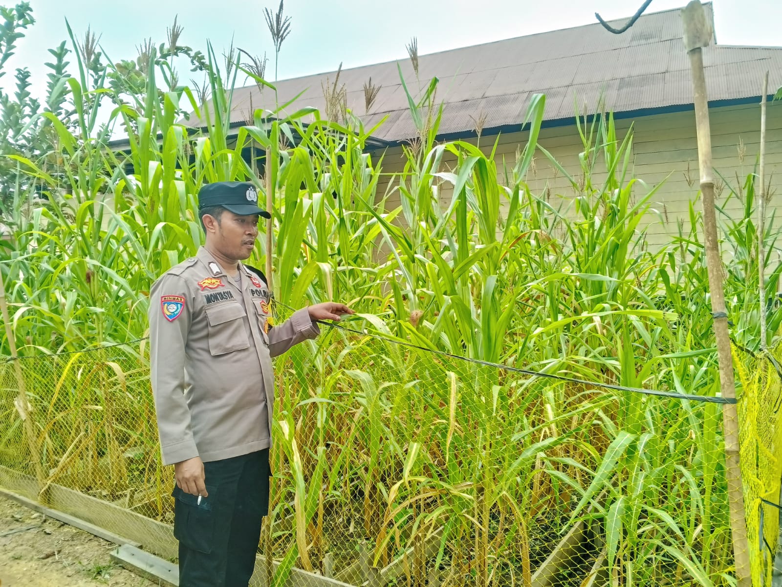 Mendukung Ketahanan Pangan, Personil Polsek Katingan Hulu Cek Lokasi Pemanfaatan Pekarangan Warga.