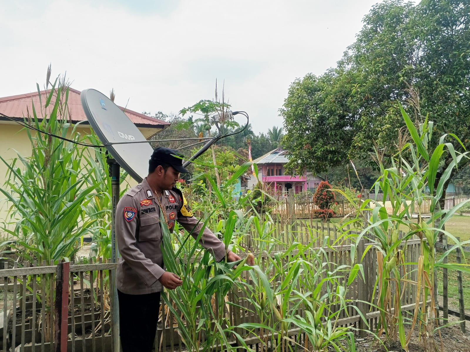 ‎Mendukung Ketahanan Pangan, Personil Polsek Katingan Hulu Cek Lokasi Pemanfaatan Pekarangan Warga.