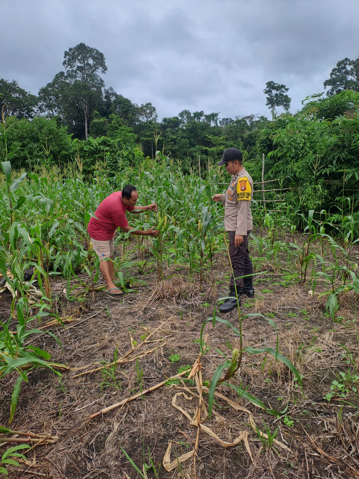 Upaya Pencegahan Kebakaran Hutan dan Lahan di Kecamatan Katingan Hulu dan Bukit Raya, Bhabinkamtibmas sosialisasi kepada masyarakat.