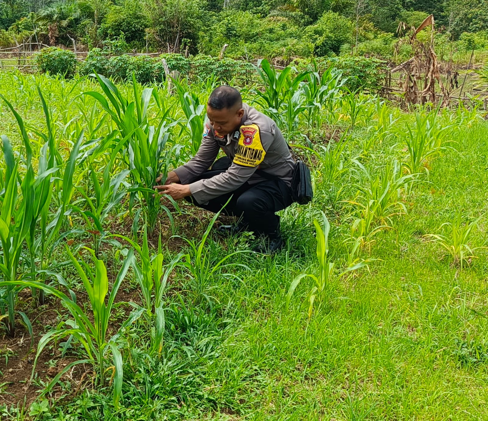 Mendukung Ketahanan Pangan, Personil Polsek Katingan Hulu Cek Lokasi Pemanfaatan Pekarangan Warga.