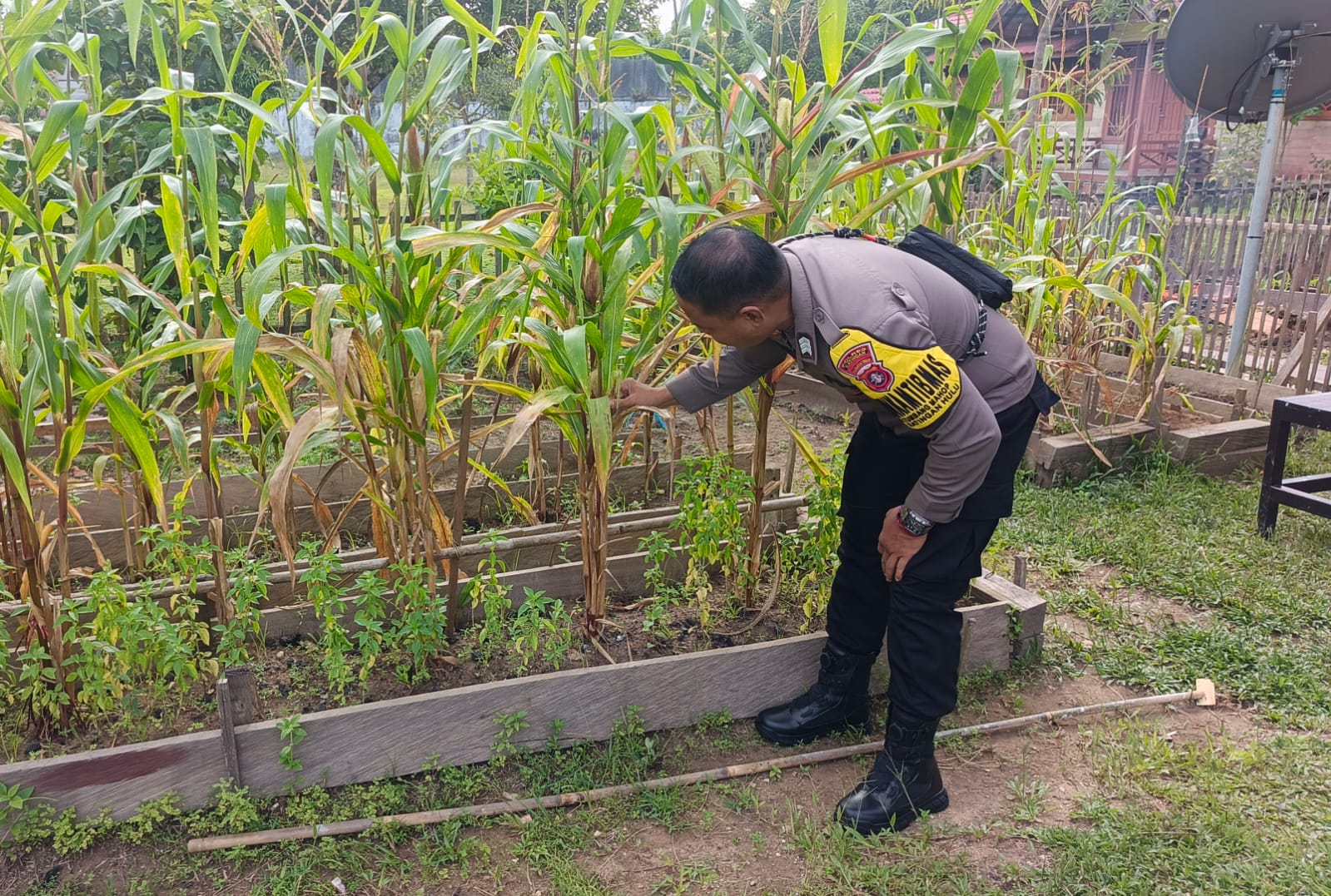‎Mendukung Ketahanan Pangan, Personil Polsek Katingan Hulu Cek Lokasi Pemanfaatan Pekarangan Warga.